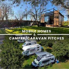 Seregnér Agricamping & Homes - Adults Only 18 Monzambano